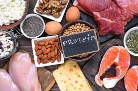protein