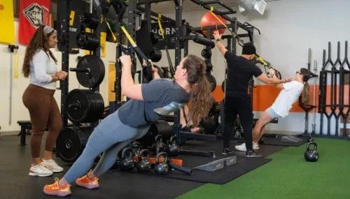 Group of women training in gym